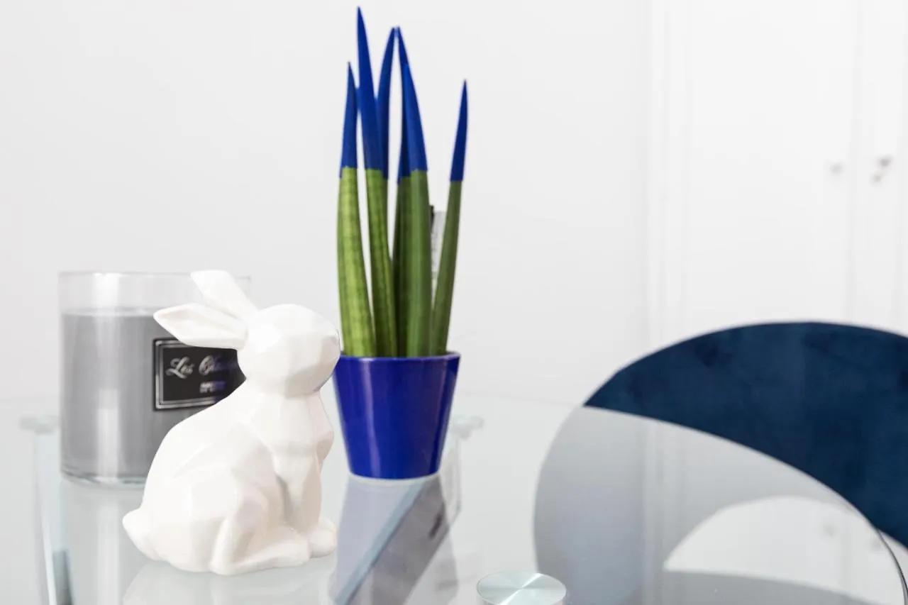 Trastevere Blue King Studio Suite - Top Collection Rome